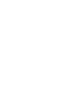 Lock Icon - Trimsy x Privacy